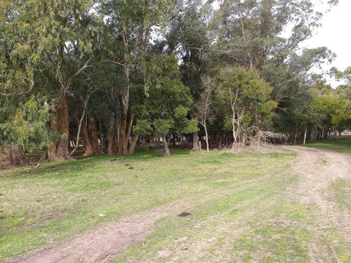 Imagen 9 de 14 de Campo En Venta En Punta Indio - 77 Hectáreas