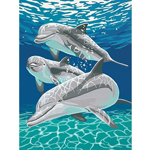 Sunlit Dolphin Pals Pintura Por Número Adultos, 9&#39;...