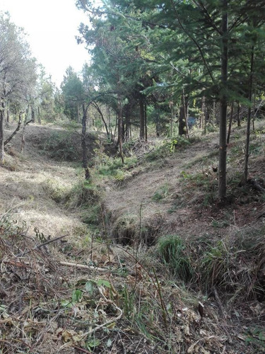 Terreno - Las Golondrinas