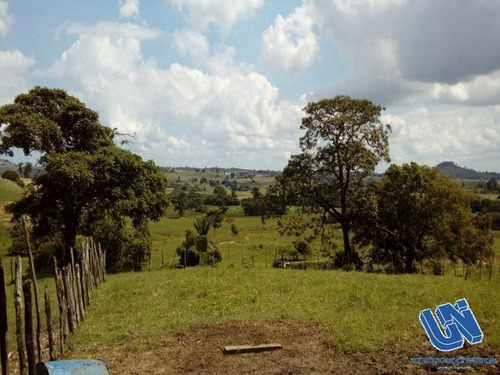 Imagem 10 de 14 de Fazenda Com 118 Tarefas Em São Sebastião Do Passé - Bahia - Afd046 - 70528054