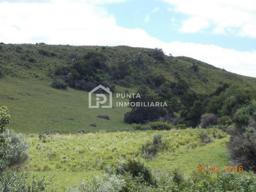 Imagen 27 de 30 de Venta Chacra 96has En Minas, Lavalleja