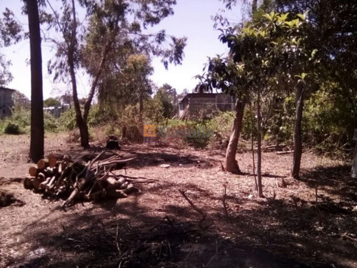 Imagen 2 de 5 de Terreno En Punta Del Este (balneario Buenos Aires) - Ref. 4002