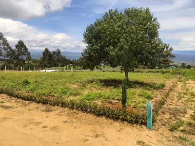 Lote y casalote en venta