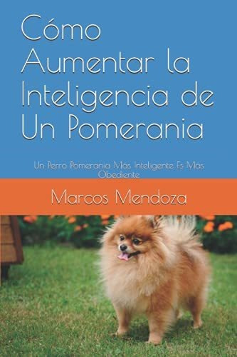 Como Aumentar La Inteligencia De Un Pomerania