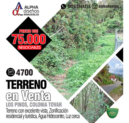 Terrenos Para Proyecto Turistico En La Colonia Tovar Sector Los Pinos