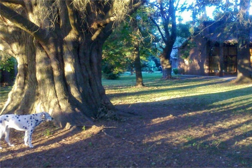 Excelente Quinta De 5.500 M² En General Rodríguez