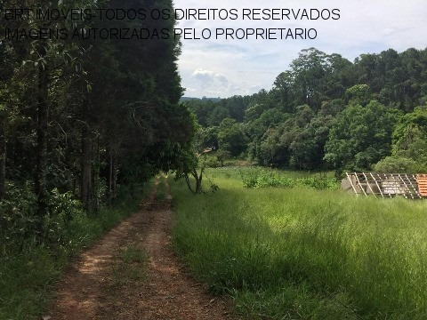Imagem 1 de 19 de Chacara - Ch00276 - 33515589