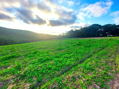 Imagem 13 de 15 de 11o- Terrenos Com Condição De Pagamento Imperdível !!!!