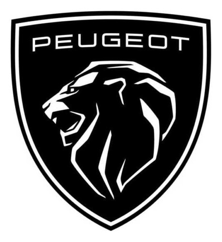 Tapa Para Pintar De Peugeot 208 Derecha