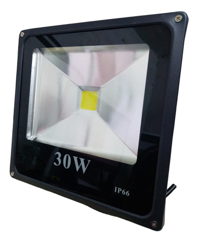 Foco Led 30w Ip66 Reflector Exterior Impermeable Delsur
