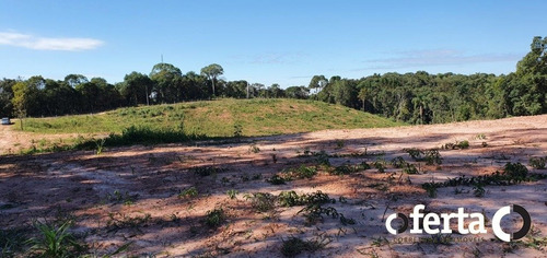 Imagem 1 de 10 de Chacara - Bugre - Ref: 709 - V-709