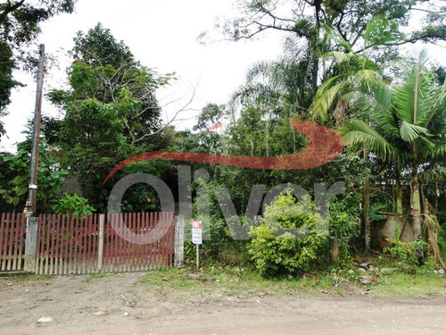 Imagem 3 de 3 de Terreno Em Itapoá, Lote 15, Camboão, Itapoá, Santa Catarina - Te00041 - 33557391