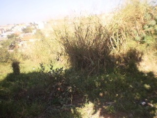 Excelente Lote 647m² - 724