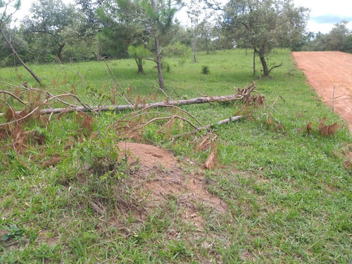 H 11- Traga Sua Família Vem Pra Nazaré Paulista