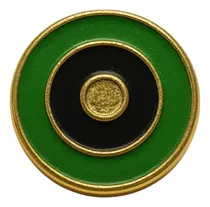Comprar Distintivo Metálico Ejército Argentino Escuela De Armas
