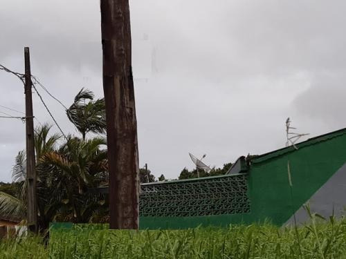 Imagem 2 de 2 de Terreno No Bairro Jequitibá Lado Serra Em Mongaguá - 6583