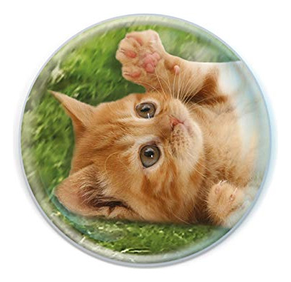 Magnidome - Gatito De Deluxebase. Vaso De Cristal Cute Cat F