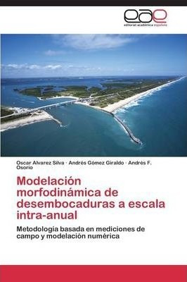 Modelacion Morfodinamica De Desembocaduras A Escala Intra...