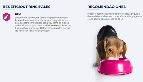 Imagen 2 de 3 de Eukanuba Cachorro Raza Pequeña 15kg Con Regalo