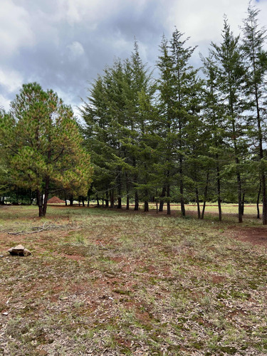 Terreno Huasca De Ocampo