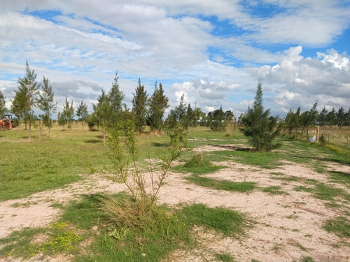 Lotes/terrenos Cañuelas 950m2 Y 1250m2