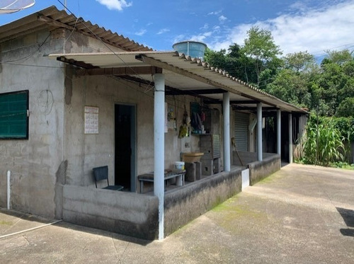 Lindo Sitio Para Lazer Rodeado De Natureza