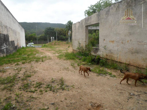 Imagem 6 de 12 de Terreno Residencial À Venda, Agronomia, Porto Alegre. - Te0069
