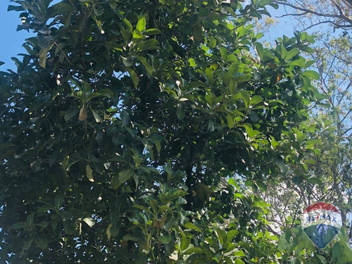Imagem 26 de 30 de Chácara À Venda, 1000 M² Por R$ 650.000,00 - Parque Da Represa - Paulínia/sp - Ch0103