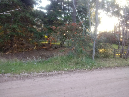Imagen 3 de 6 de Gran Lote En Zona De Bosque, Hermoso Entorno!!!