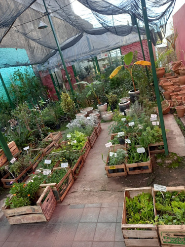Comercio En Venta