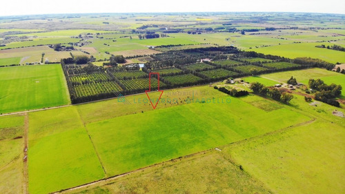 Imagen 4 de 8 de Colonia, Matamora - Lindo Campo, A Metros De La Plaza