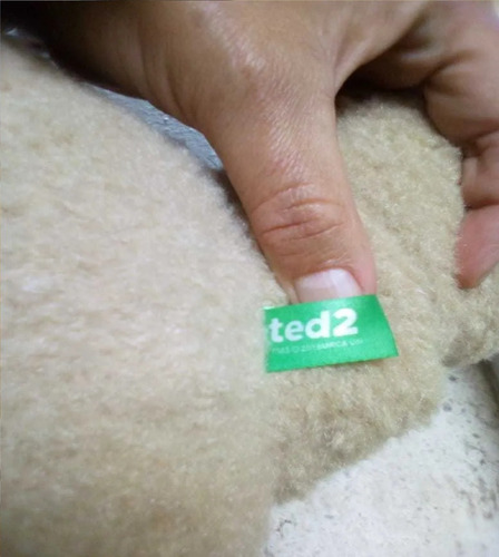 Peluche Oso Ted 48cm Con Sweter Se Quita
