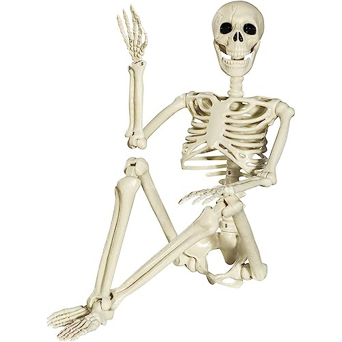 Halloween Skeleton Full Body Posable Joints Skeletons, ...