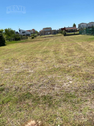 Imagen 4 de 13 de Terreno - Los Talas Con Fondo A La Laguna - Canning - Ezeiza - Lote Al Agua