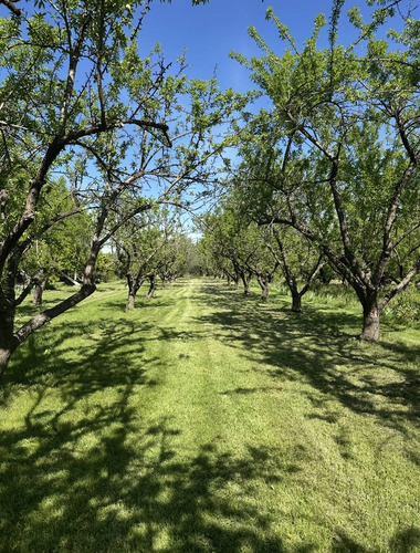 Acceso Sur- Rio Maipo- Curihue/ -parcela Con Luz Y Agua Inst