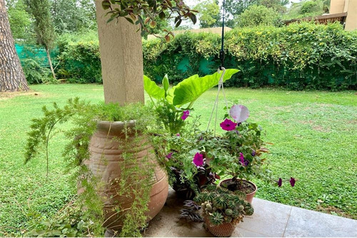 Venta Espectacular Casa 300m2 Parque Pileta