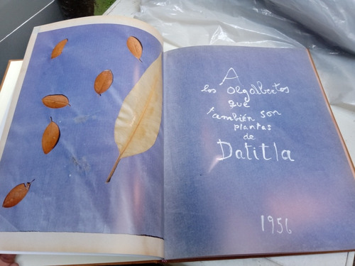Oda A Las Flores De Datitla Pablo Neruda (Usado)