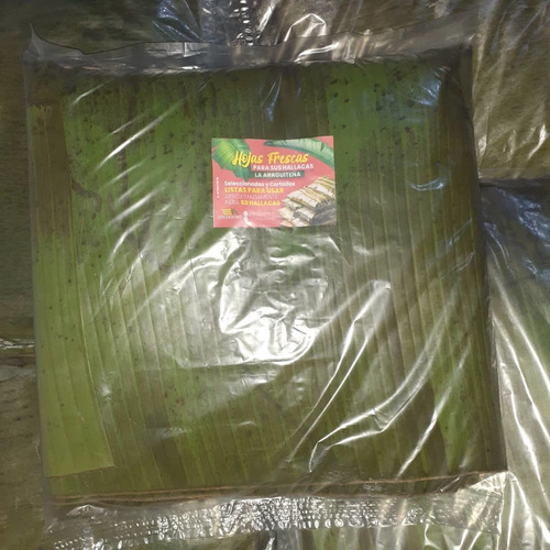Imagen 2 de 4 de Hojas Para Hallacas (paquete Para 50 Hallacas)