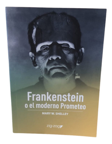 Frankenstein O El Moderno Prometeo - Original