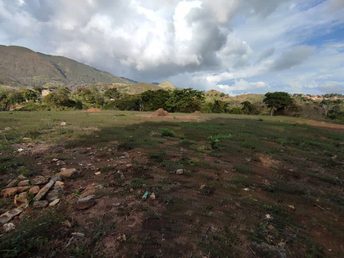 Terreno Venta Guatire - La Rosa