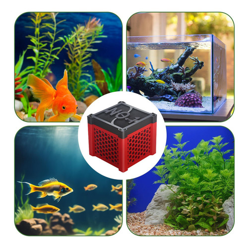 Cubo Purificador De Agua Para Caballos Cubo Purificador De A