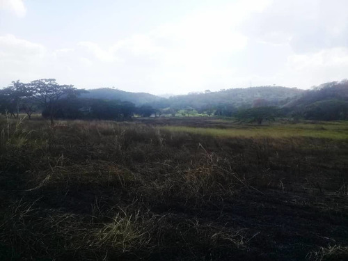 Imagen 10 de 11 de Leal Pérez Vende Finca En Bejuma