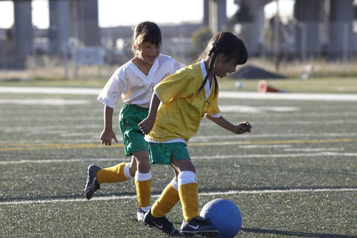 Balón De Fútbol One World Play Project Futbol No Tóxico No A