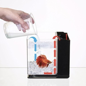 Bettera Pecera Pez Betta Fácil Mantenimiento Blanca 2,5l