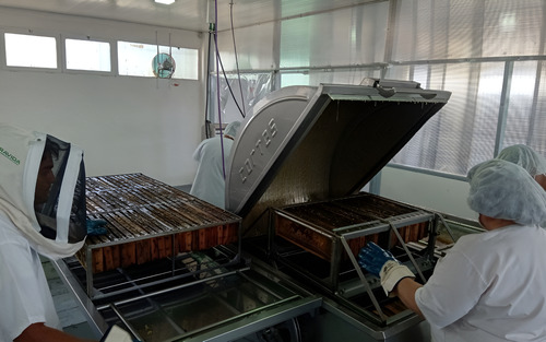 Miel Líquida Intensa Amancay Premium 30kg Balde