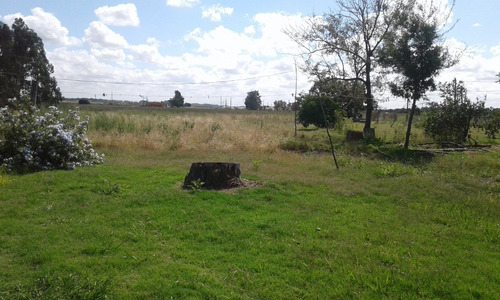 Campo Agricola En Colonia Wilson De 10 Hás