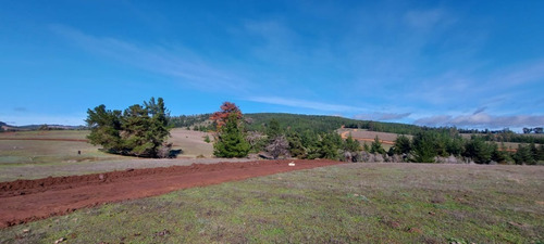 Imagen 9 de 9 de Campo Con Parcelas Con Arboles Nativos Y Pinos