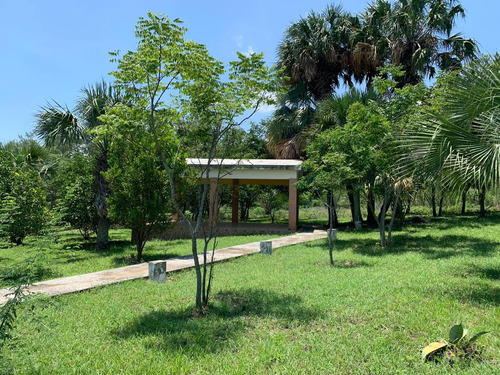 Huerta Los Nogales, Huerta San Martin, Cadereyta Jimenez, Nuevo Leon