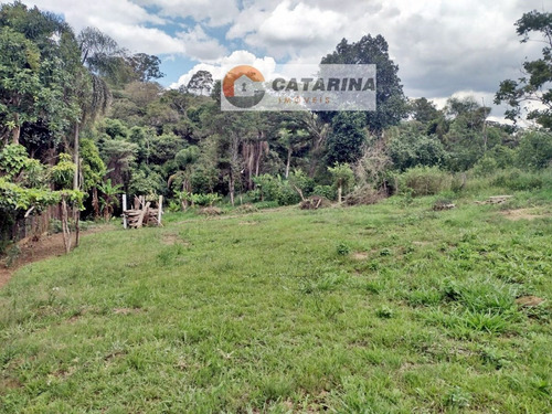 Imagem 6 de 7 de Belíssimo Terreno 2000 M².