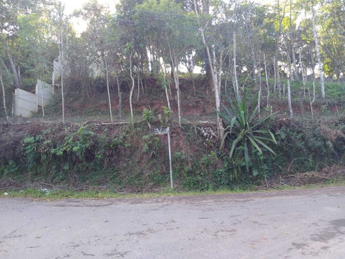 Imagem 5 de 7 de V11- Vendo Lote Que Da Financiamento